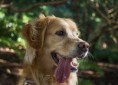 /album/fotogalerij/foto15-jpg/
